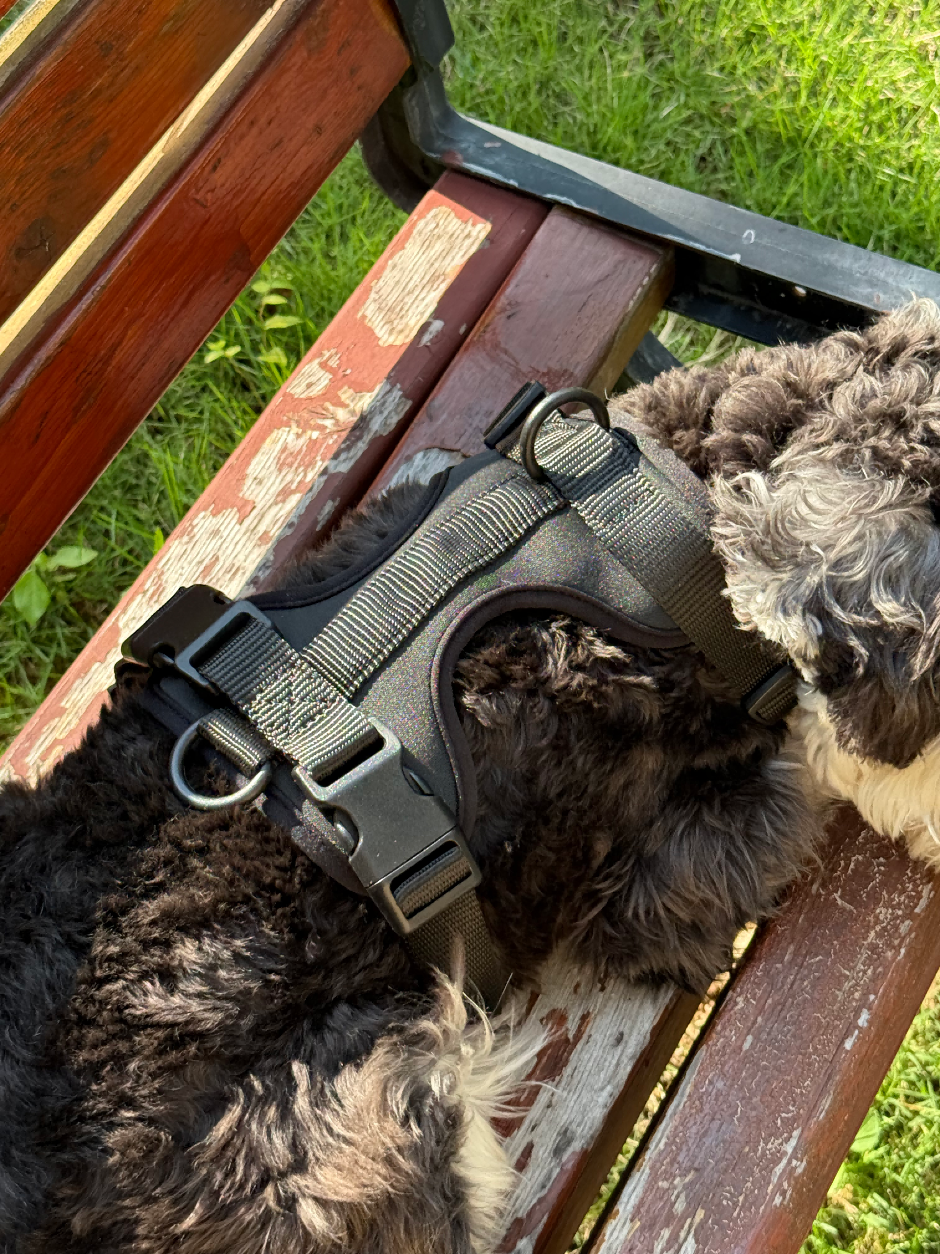 Airy Cotton Pet Harness - Image 5