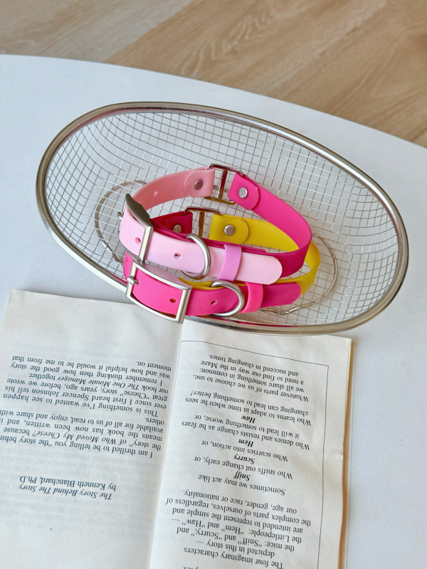 Personalised Pet Collar