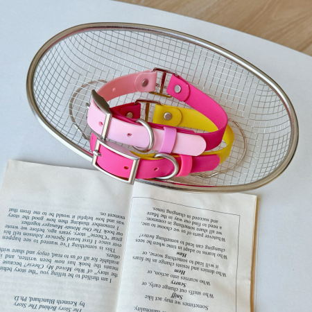 Personalised Pet Collar