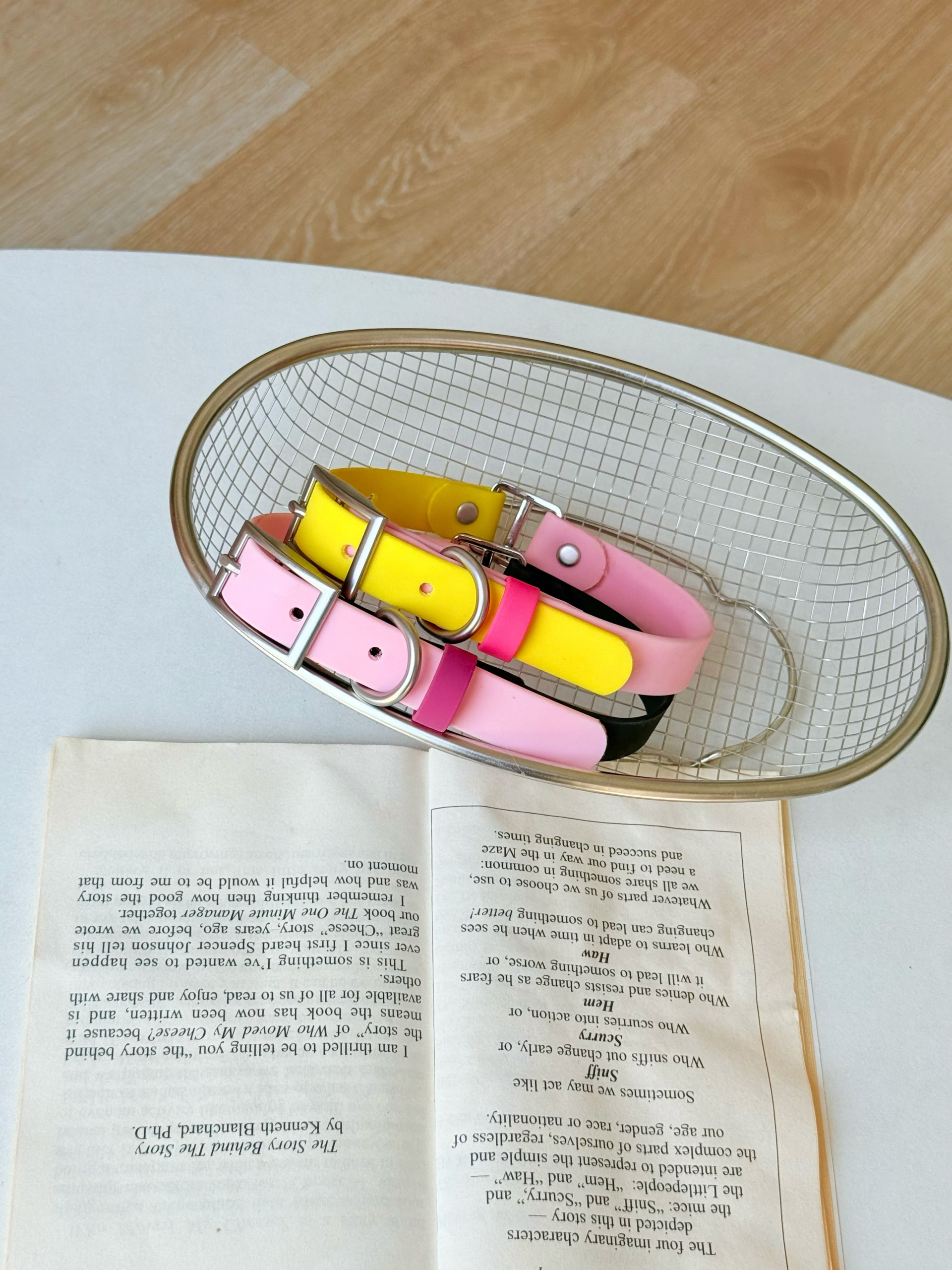 Personalised Pet Collar - Image 5