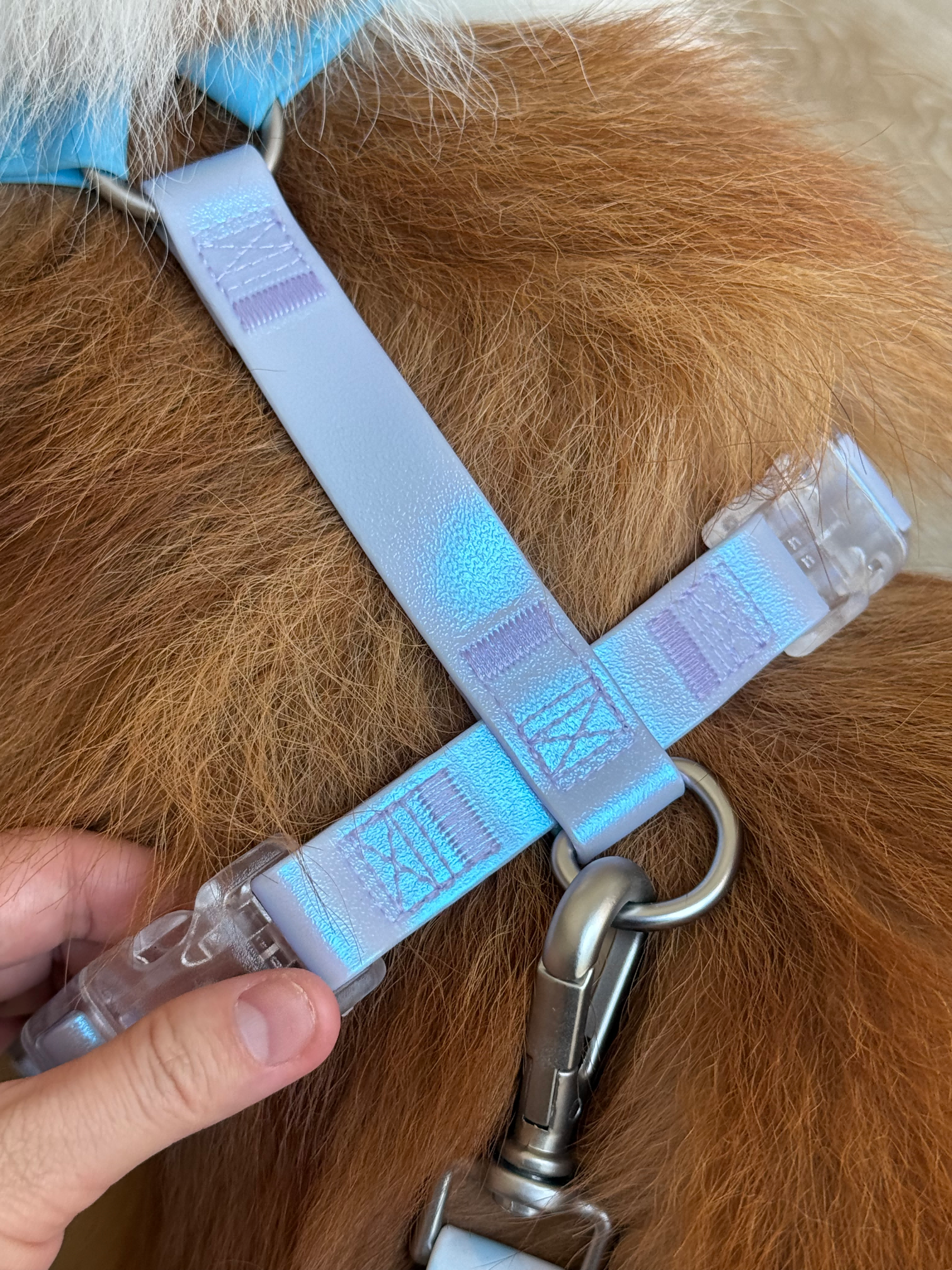Dazzling H-Shape Dog harness - Image 5