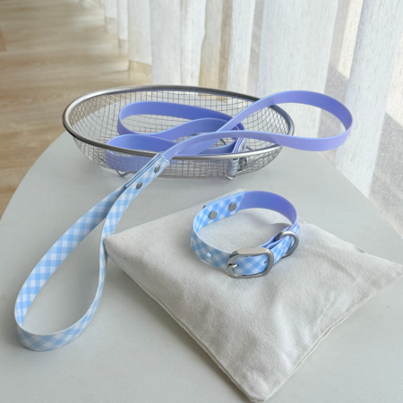 Neon Patchwork Pet Collar&Leash