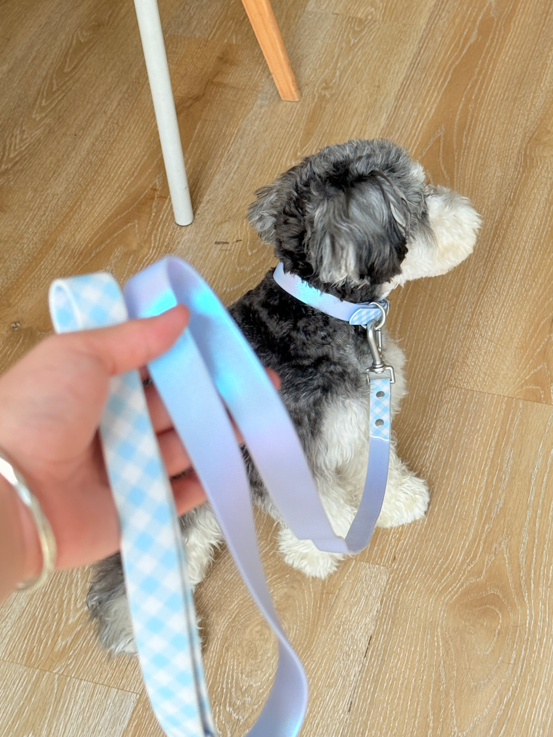 Neon Patchwork Pet Collar&Leash - Image 4