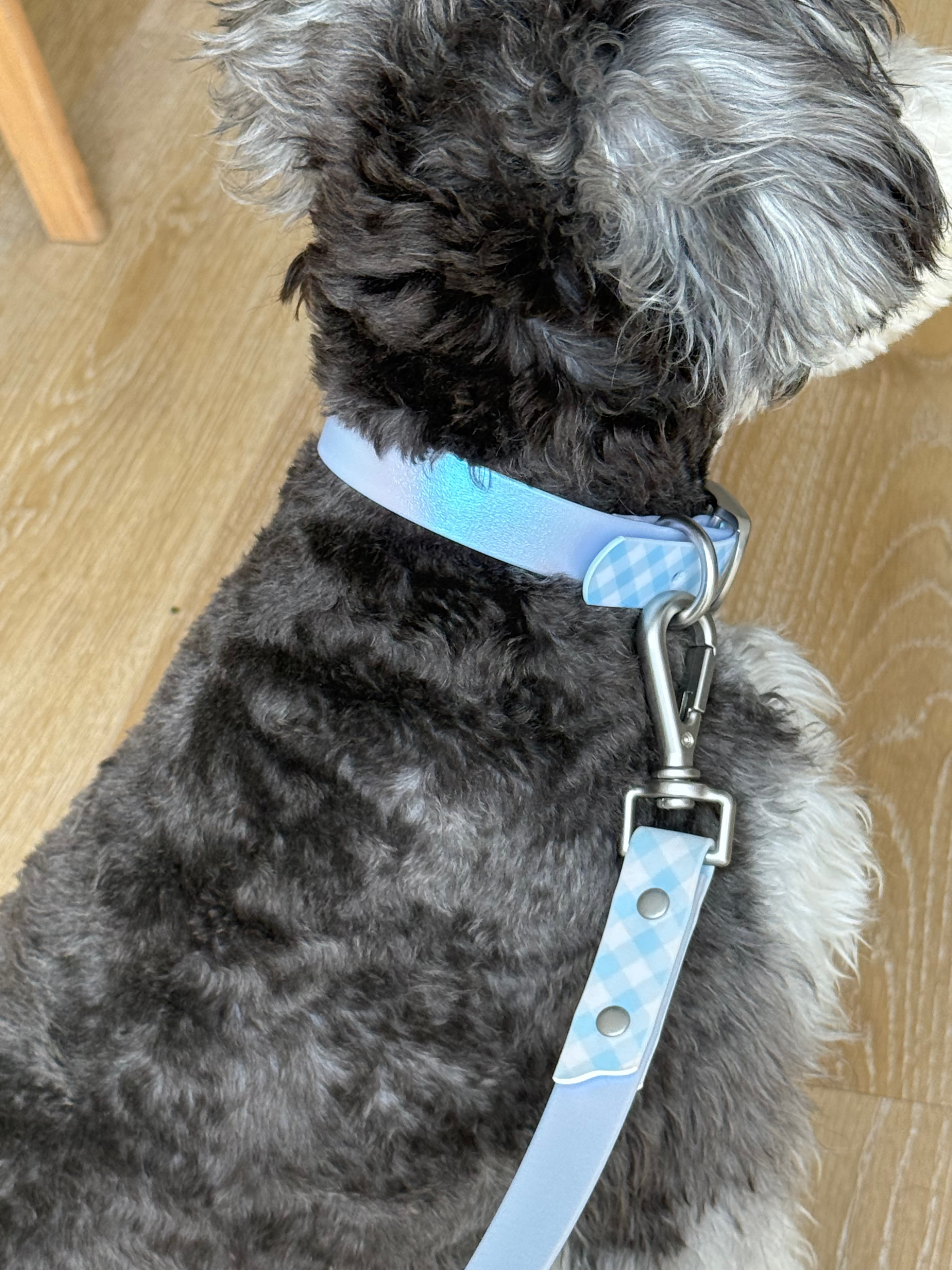 Neon Patchwork Pet Collar&Leash - Image 6