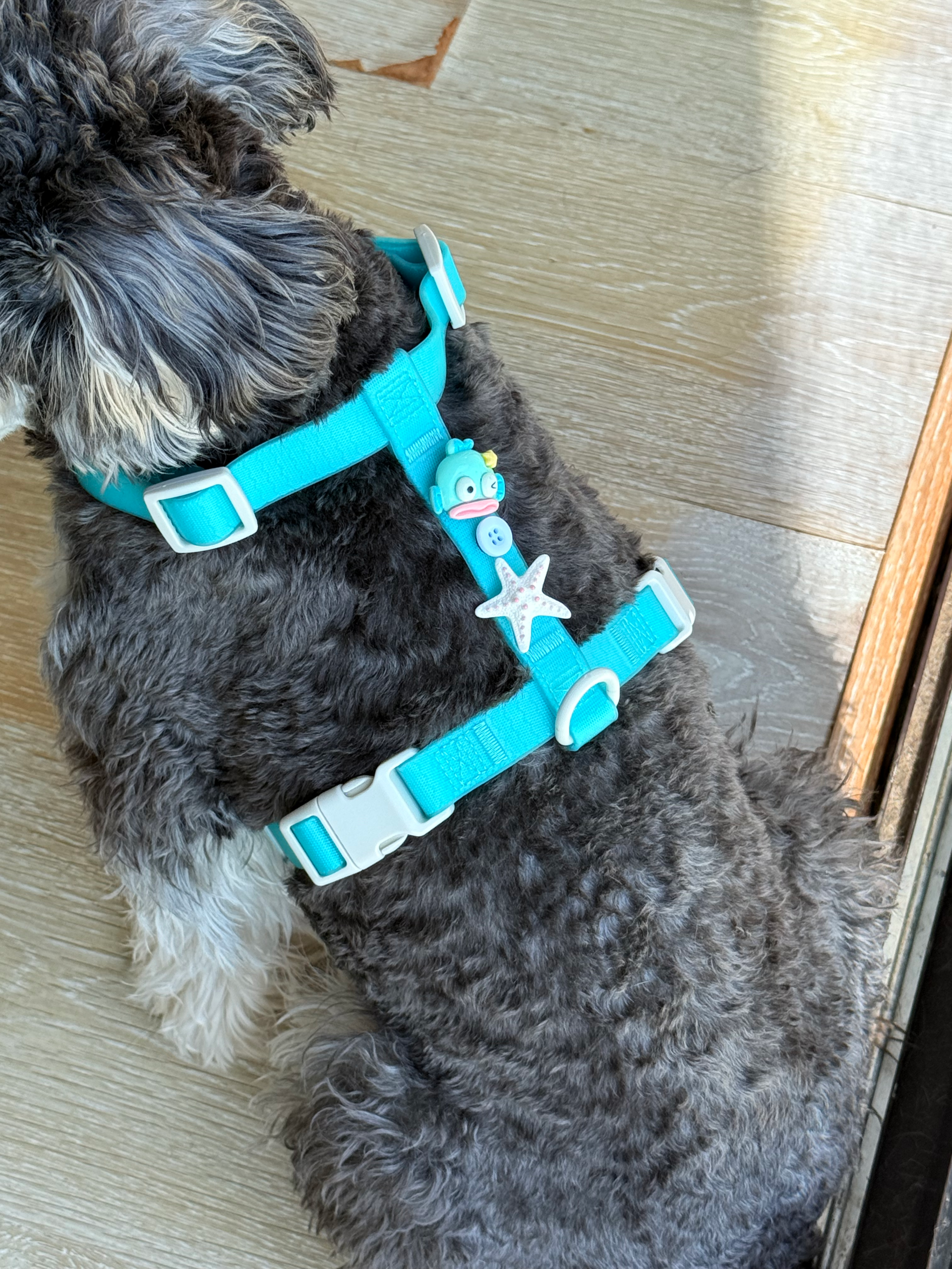 DIY Dog harness - Image 6