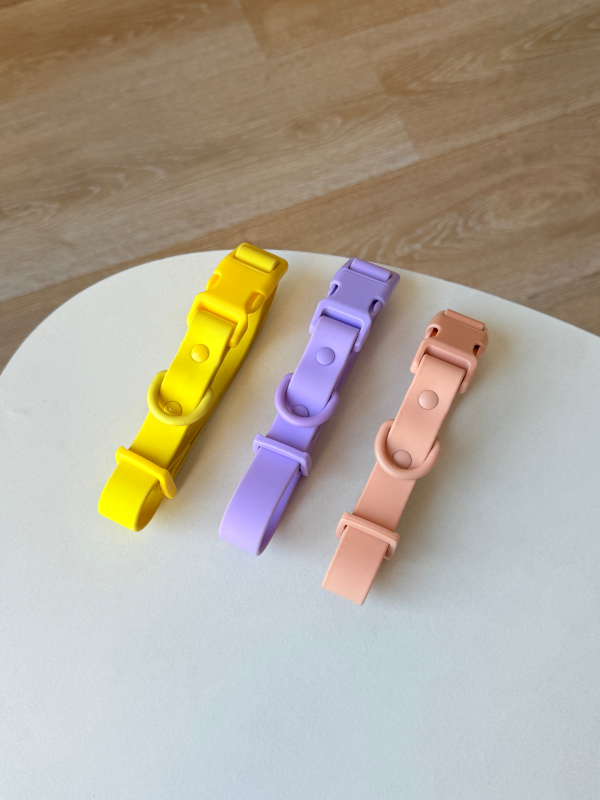 Macaron color buckle collar&leash