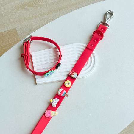 Pet collar&leash with charms