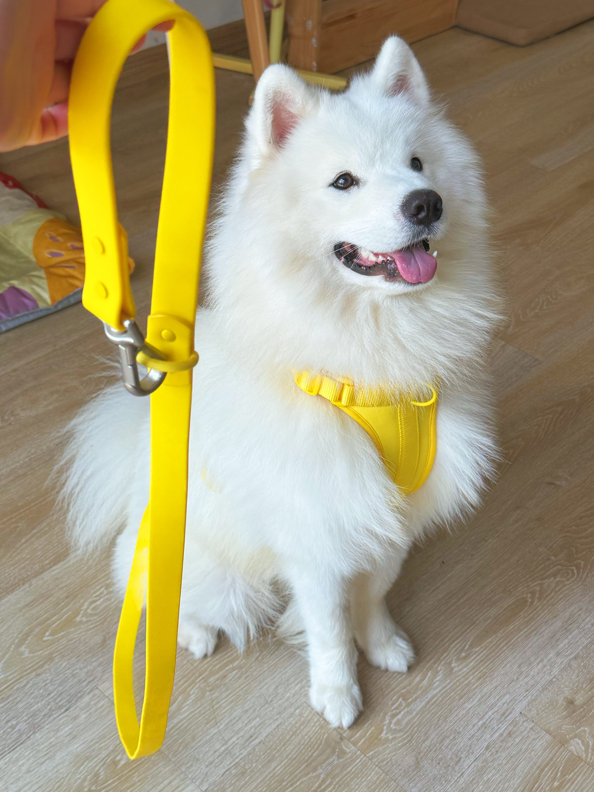 Airy Cotton Pet Harness - Image 6