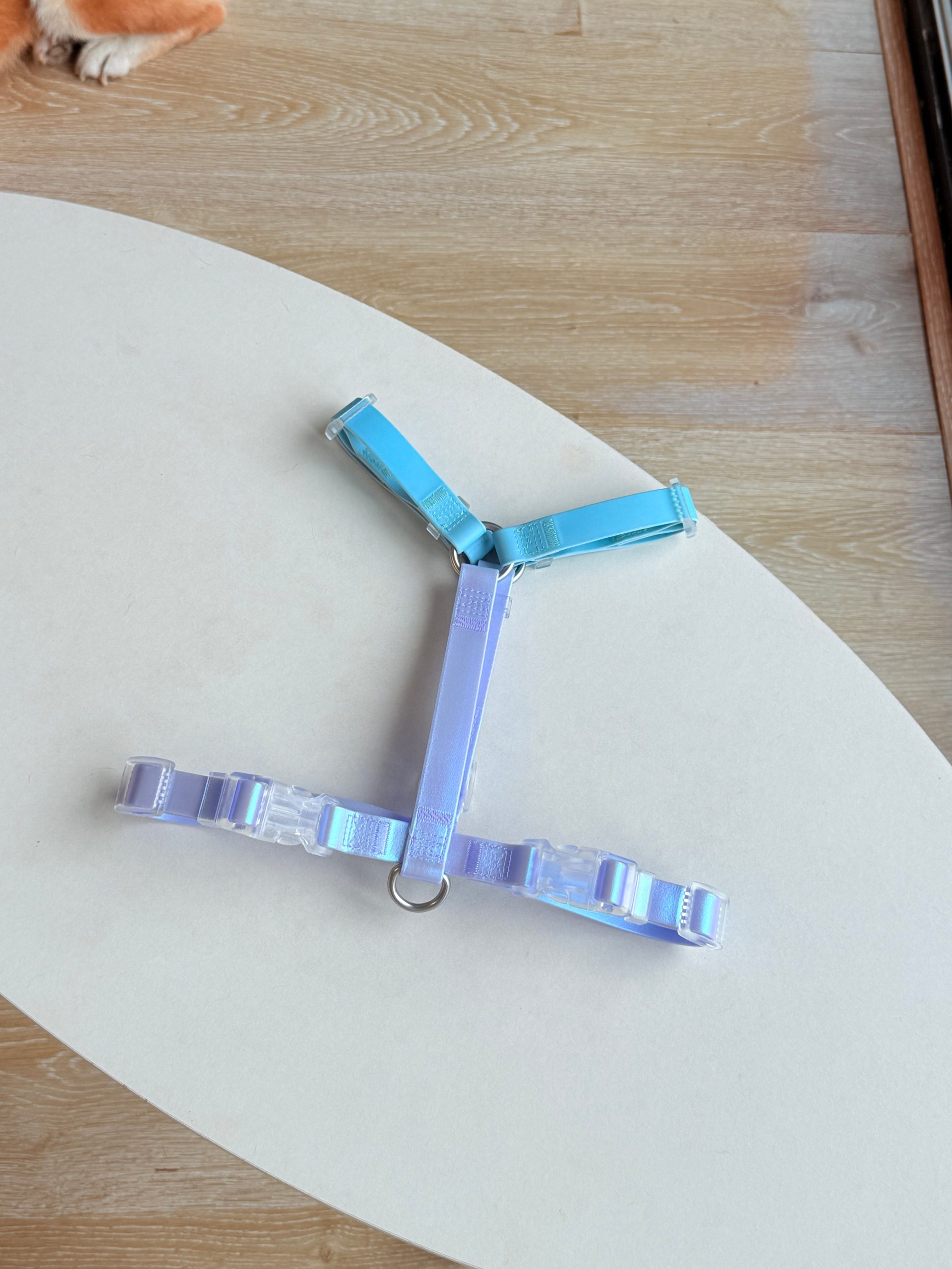 Dazzling H-Shape Dog harness - Image 3