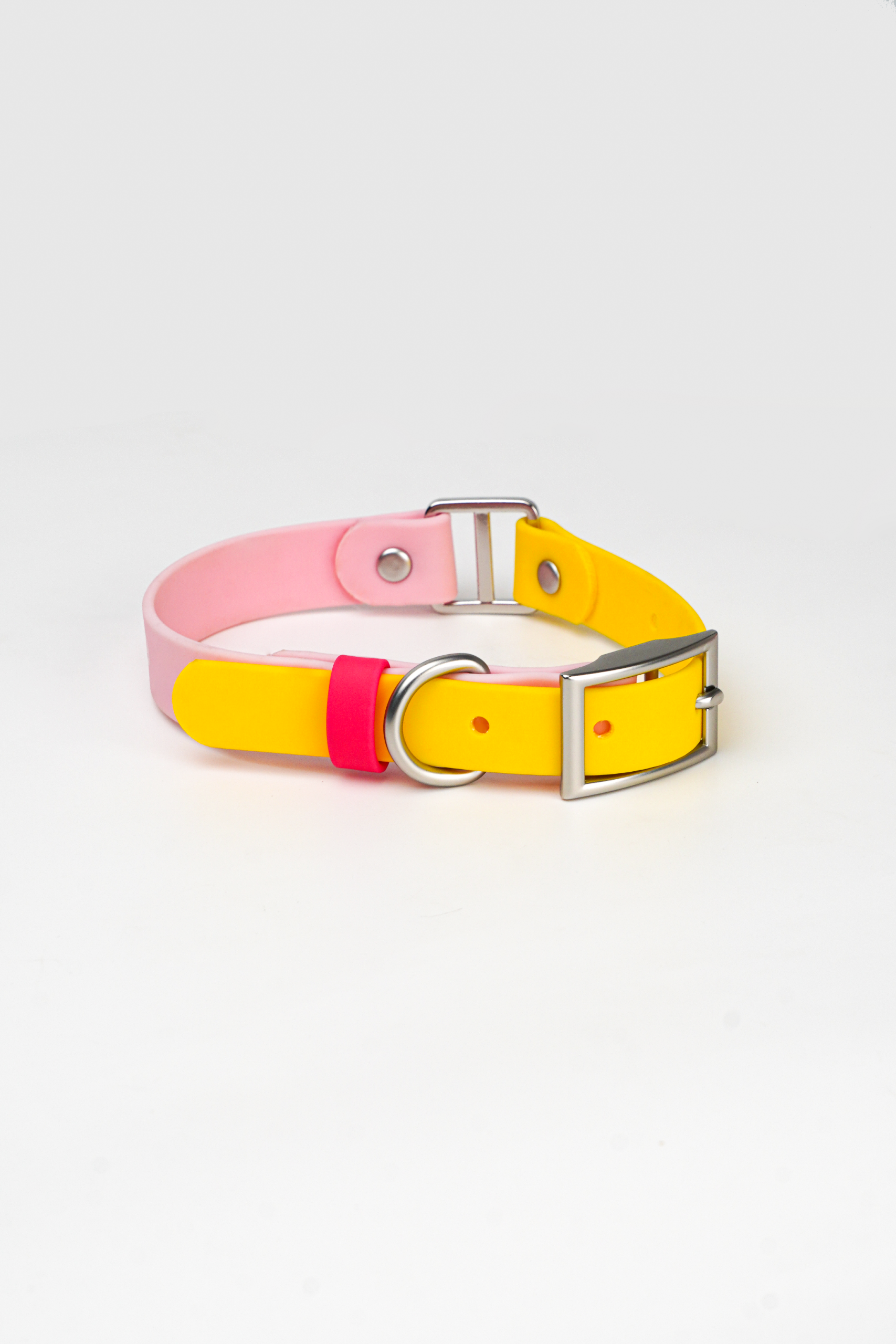 Personalised Pet Collar - Image 3