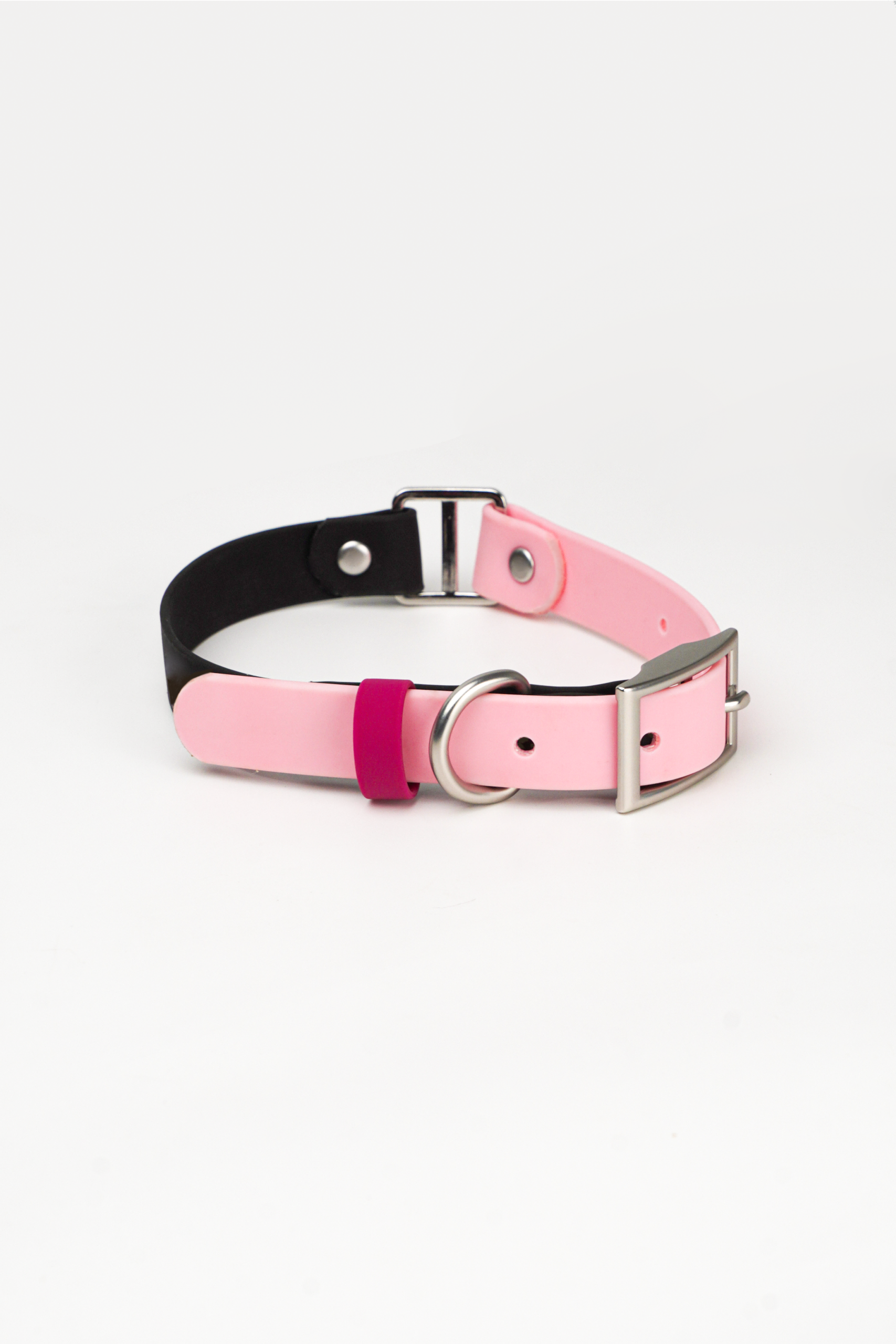 Personalised Pet Collar - Image 2